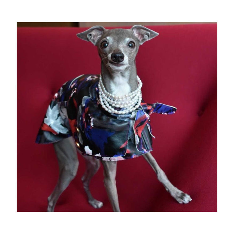 Antibes Baroque Freshwater Pearl Dog Necklace